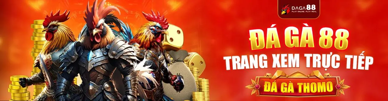 Đá gà trực tuyến VN66 với các trận đấu kịch tính