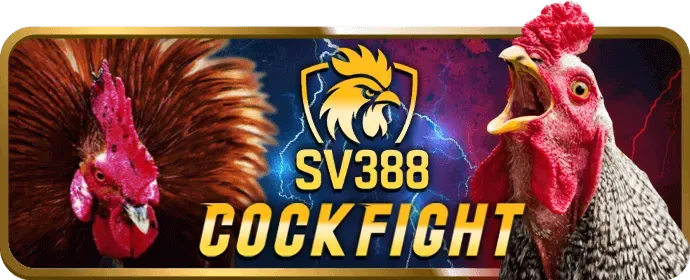 Banner vòng quay miễn phí vn66